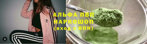 ГАЛЛЮЦИНОГЕННЫЕ ГРИБЫ Белоозёрский