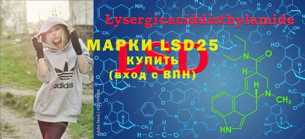 ГАЛЛЮЦИНОГЕННЫЕ ГРИБЫ Белоозёрский