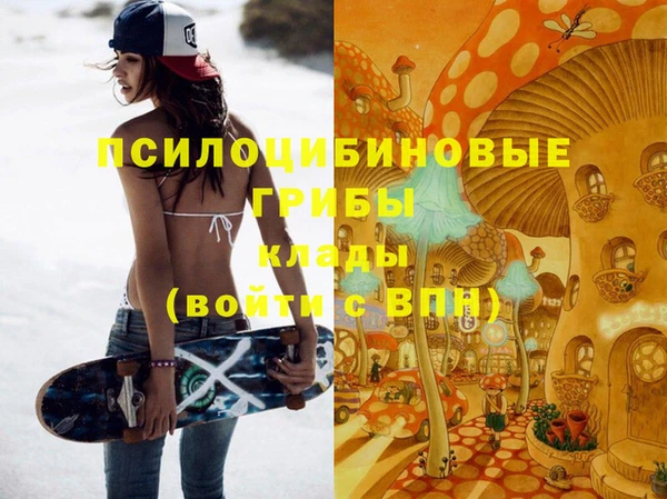 синтетический гашиш Белокуриха