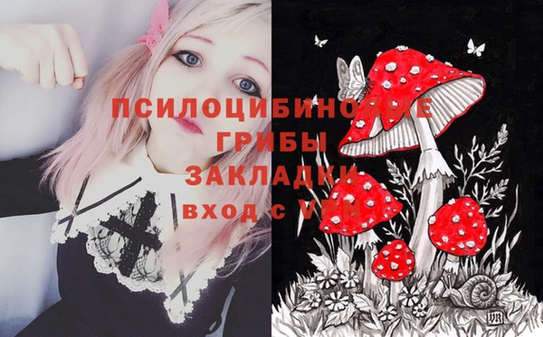 синтетический гашиш Белокуриха